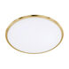 Seattle 1 Light 16 inch Brass-Matte Flush Mount Ceiling Light