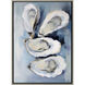 Five Oysters / Four Oysters Blue and White and Multi and Gray Canvas, Propac