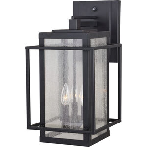 Hyde Park LED 18.5 inch Espresso Bronze Outdoor Wall