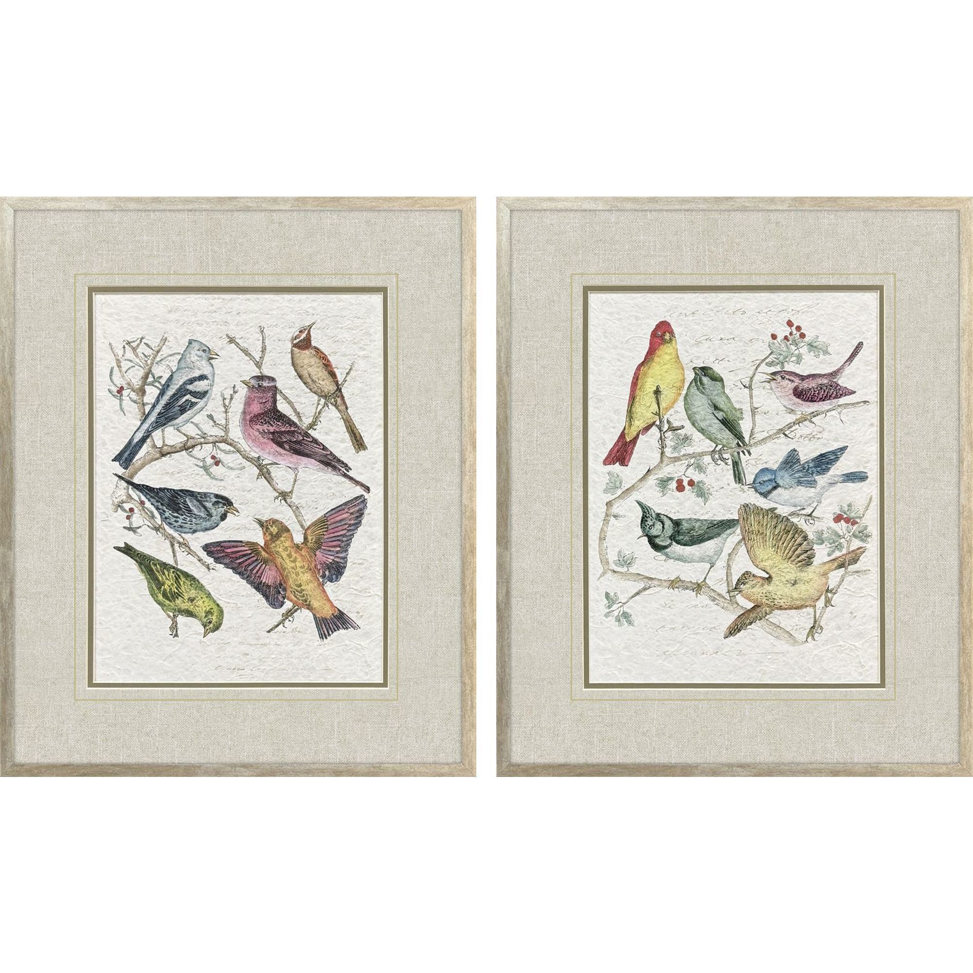 Bird Variety Blue and Green and Pink and Yellow Framed Art