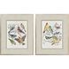 Bird Variety Blue and Green and Pink and Yellow Framed Art