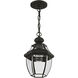 Monterey 1 Light 9 inch Black Outdoor Pendant Lantern 