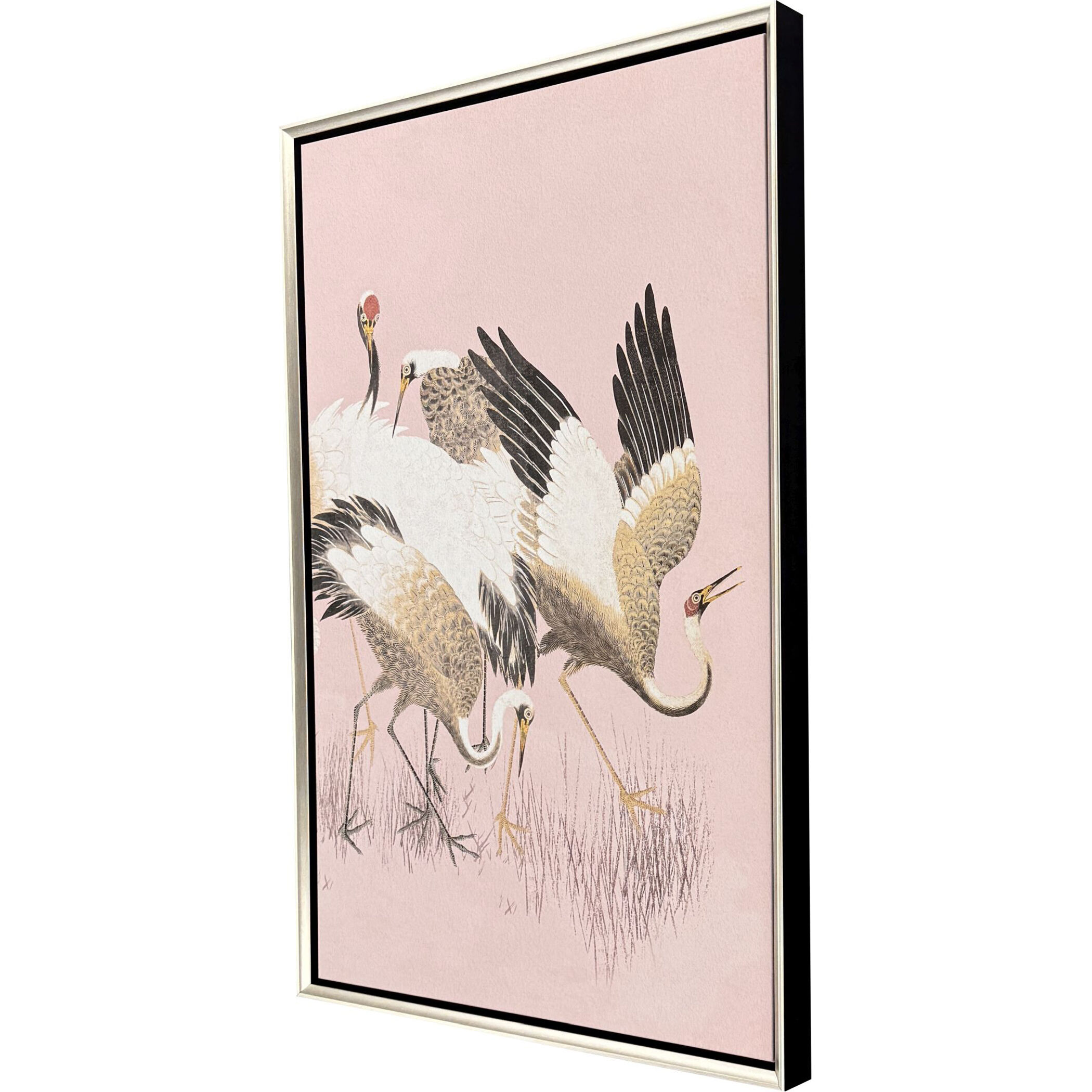 Curious Cranes Pink Canvas