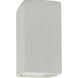 Ambiance LED 9.5 inch Bisque Outdoor Wall Sconce