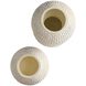Kayli Vases, Set of 2