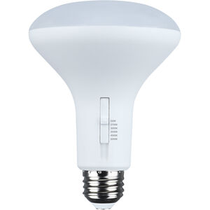 ColorQuick LED Bulb