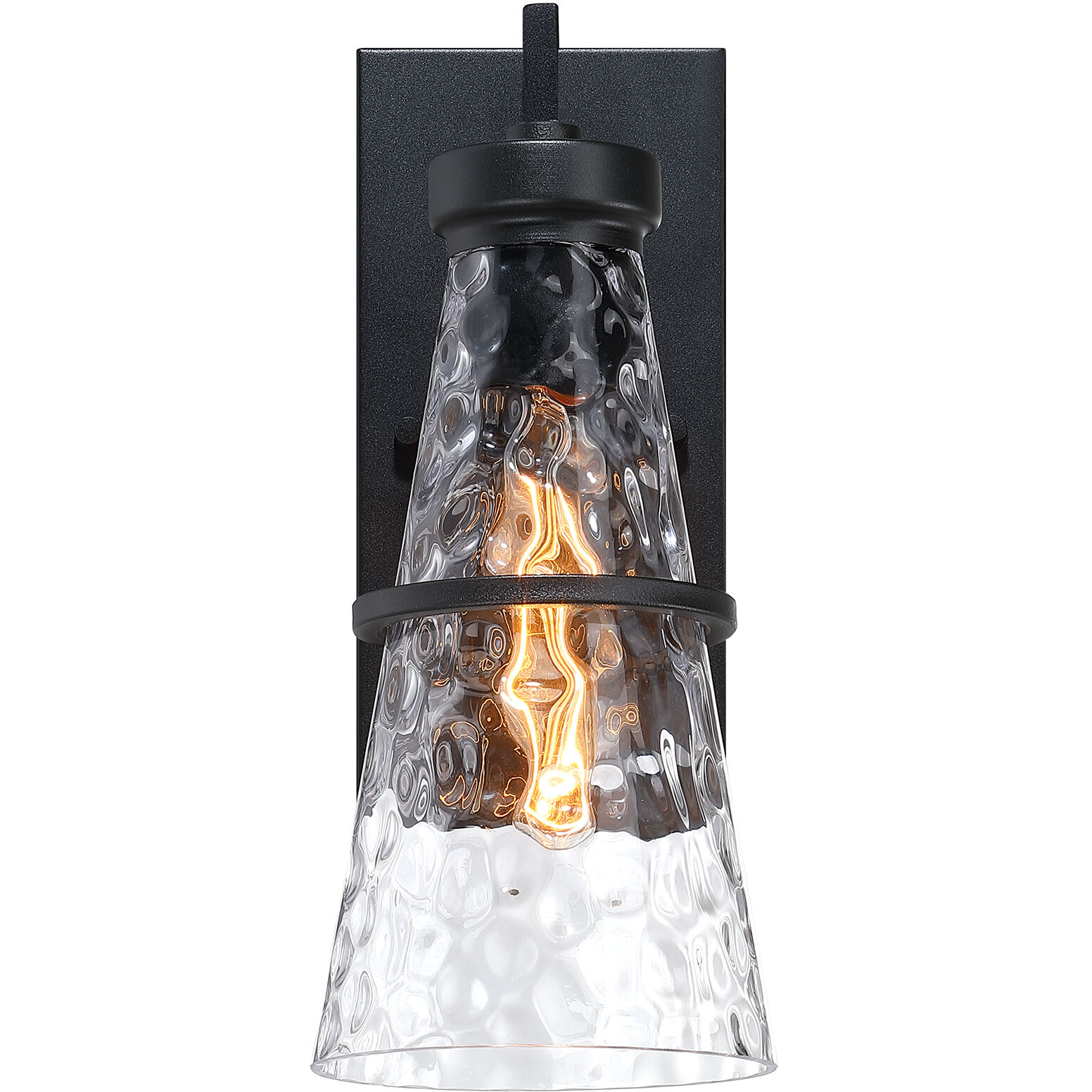 Field Daisy Lane Outdoor Wall Sconce