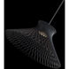 Zenya 1 Light 23.13 inch Black Pendant Ceiling Light