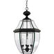 Newbury 4 Light 16 inch Mystic Black Outdoor Hanging Lantern
