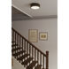 Lynca LED 13.75 inch Legacy Brass and Dark Bronze Flush Mount Ceiling Light