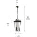 Regence 2 Light 11.5 inch Olde Bronze Outdoor Hanging Pendant