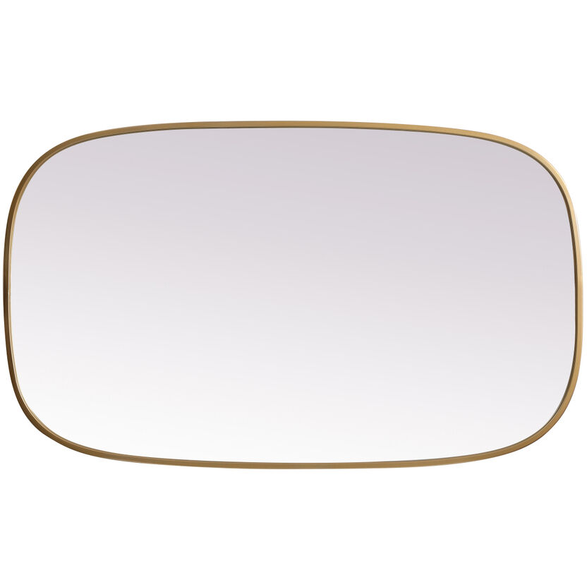 Brynn 40 X 24 inch Brass Mirror in 24 x 40