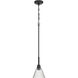 Pleated 1 Light 7.13 inch Flat Black Mini Pendant Ceiling Light