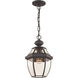 Monterey 1 Light 8.5 inch Bronze Outdoor Pendant Lantern