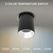 Zoron LED 3.63 inch Black and Haze Outdoor Ceiling Lighting in Black/Haze
