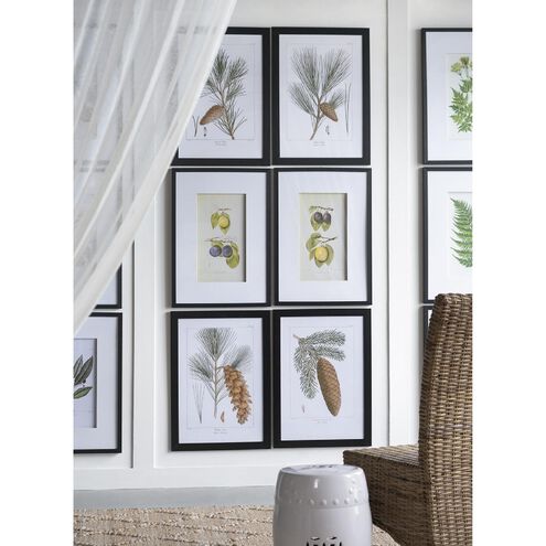Smithsonian Black and Green/Yellow Wall Art, Assorted Fruit