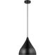 Oden 1 Light 14 inch Midnight Black Pendant Ceiling Light