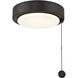 LIGHT 1 Light Dark Bronze Fan Light
