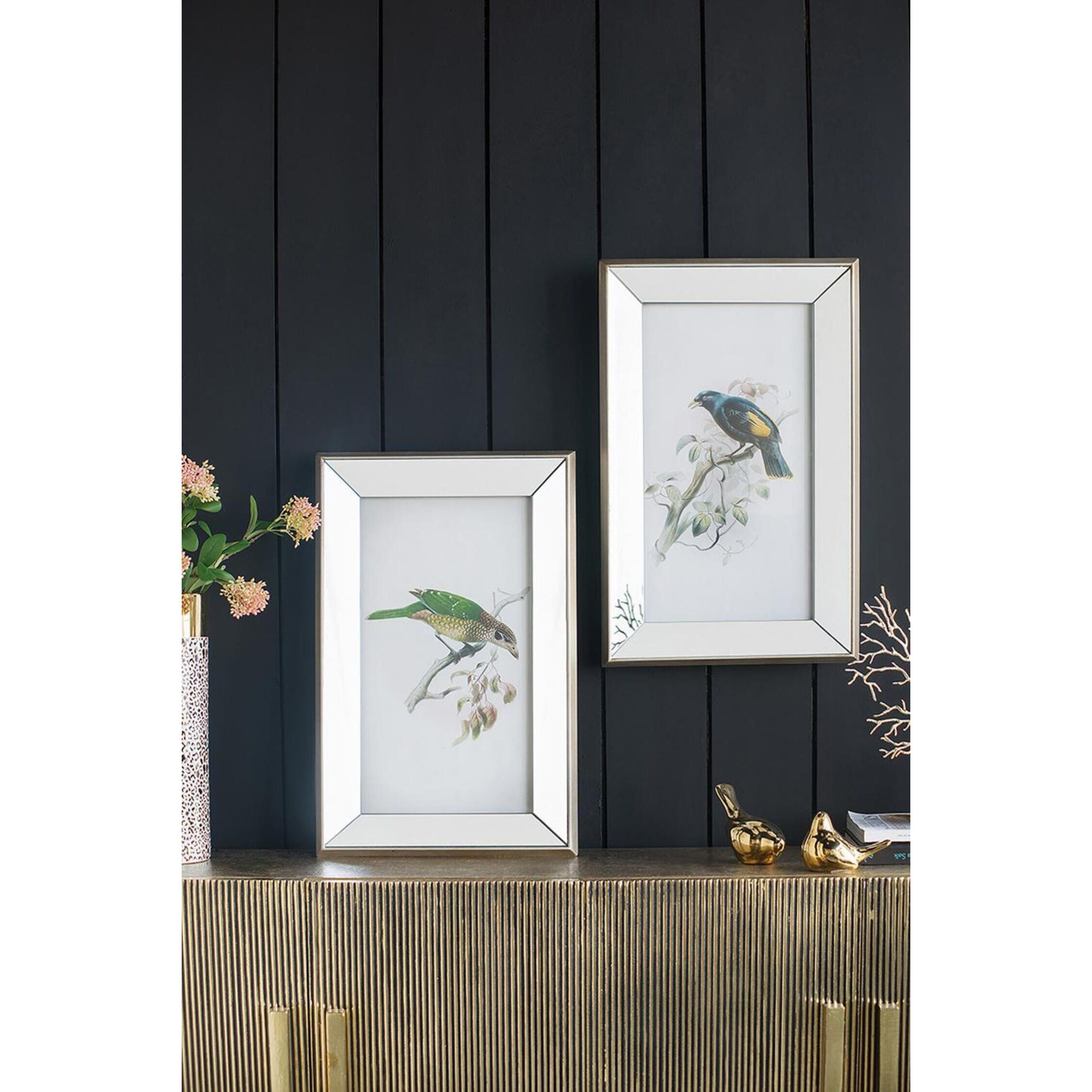 Bird Mirror Frame Print Multi Color Wall Art, Set of 2