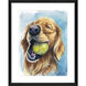 Ball is Life Yellow and Blue Framed Art