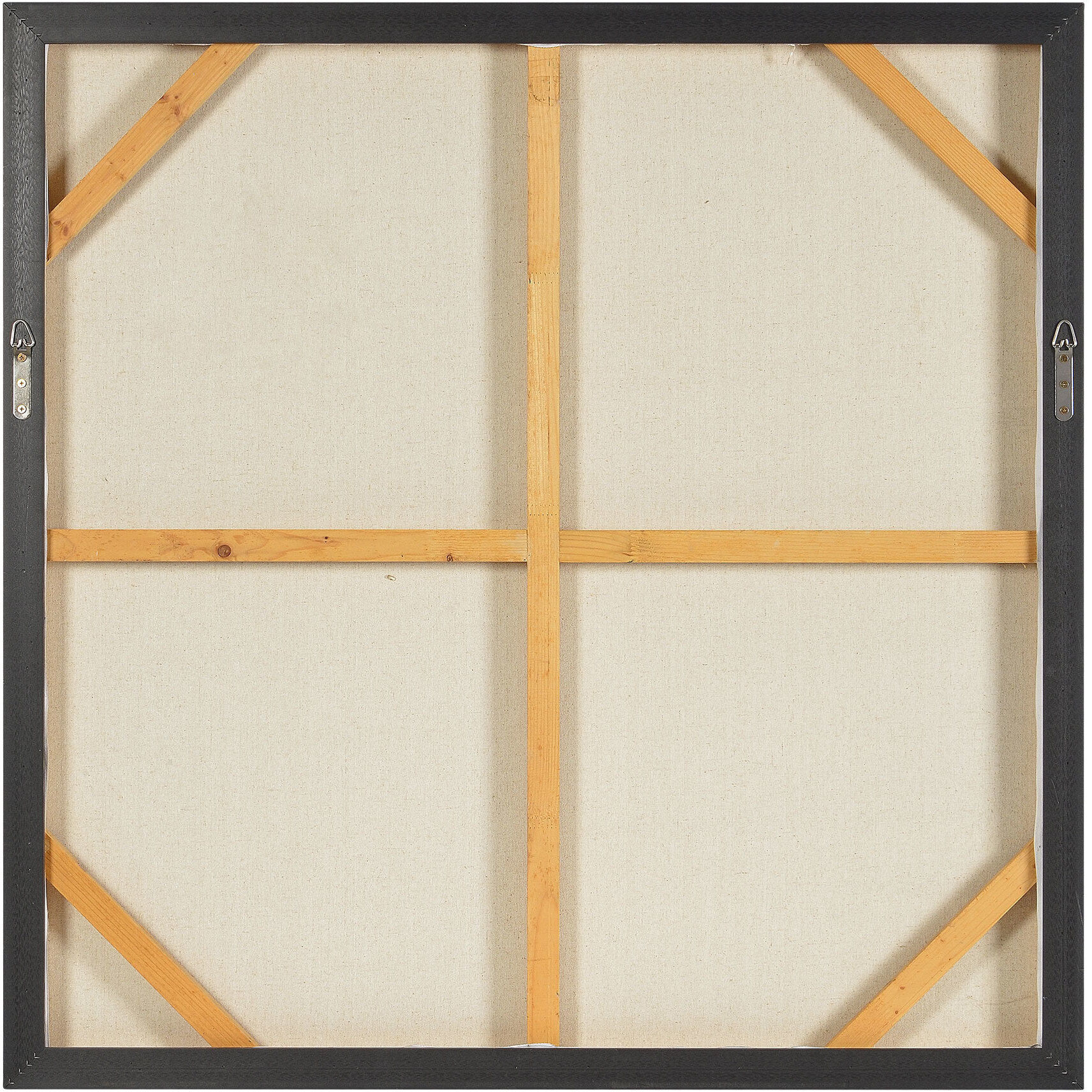 Saltoro Texture Canvas Art