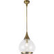 Alora Mood Hazel 1 Light 14.13 inch Aged Gold/Clear Glass Pendant Ceiling Light