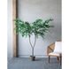 Anita Green Faux Plant
