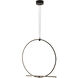 Canada LED 24 inch Black LED Chandelier Ceiling Light