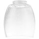 Fort Worth Clear Seeded 5 inch Glass Shade 