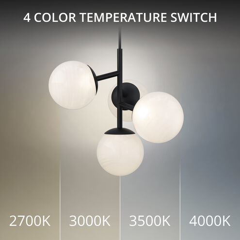 Quatrro LED 26.75 inch Black Pendant Ceiling Light in 2700K, dweLED
