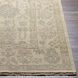 Reign 36 X 24 inch Sage Rug in 2 x 3, Rectangle