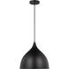 Grant 1 Light 14.13 inch Midnight Black Pendant Ceiling Light