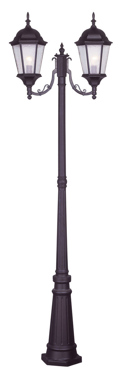 Hamilton 2 Light 86 inch Bronze Outdoor 2 Head Post