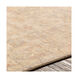 Cappadocia 36 X 24 inch Khaki/Taupe/Wheat/Tan/Mauve Rugs, Rectangle