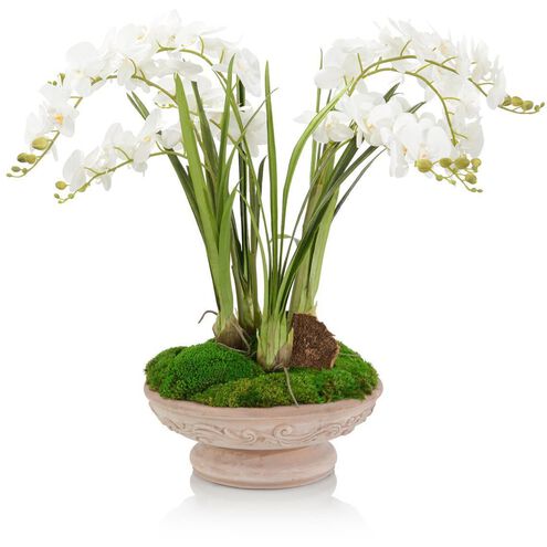 French Linen Florals