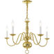 Williamsburgh 5 Light 24 inch Polished Brass Chandelier Ceiling Light