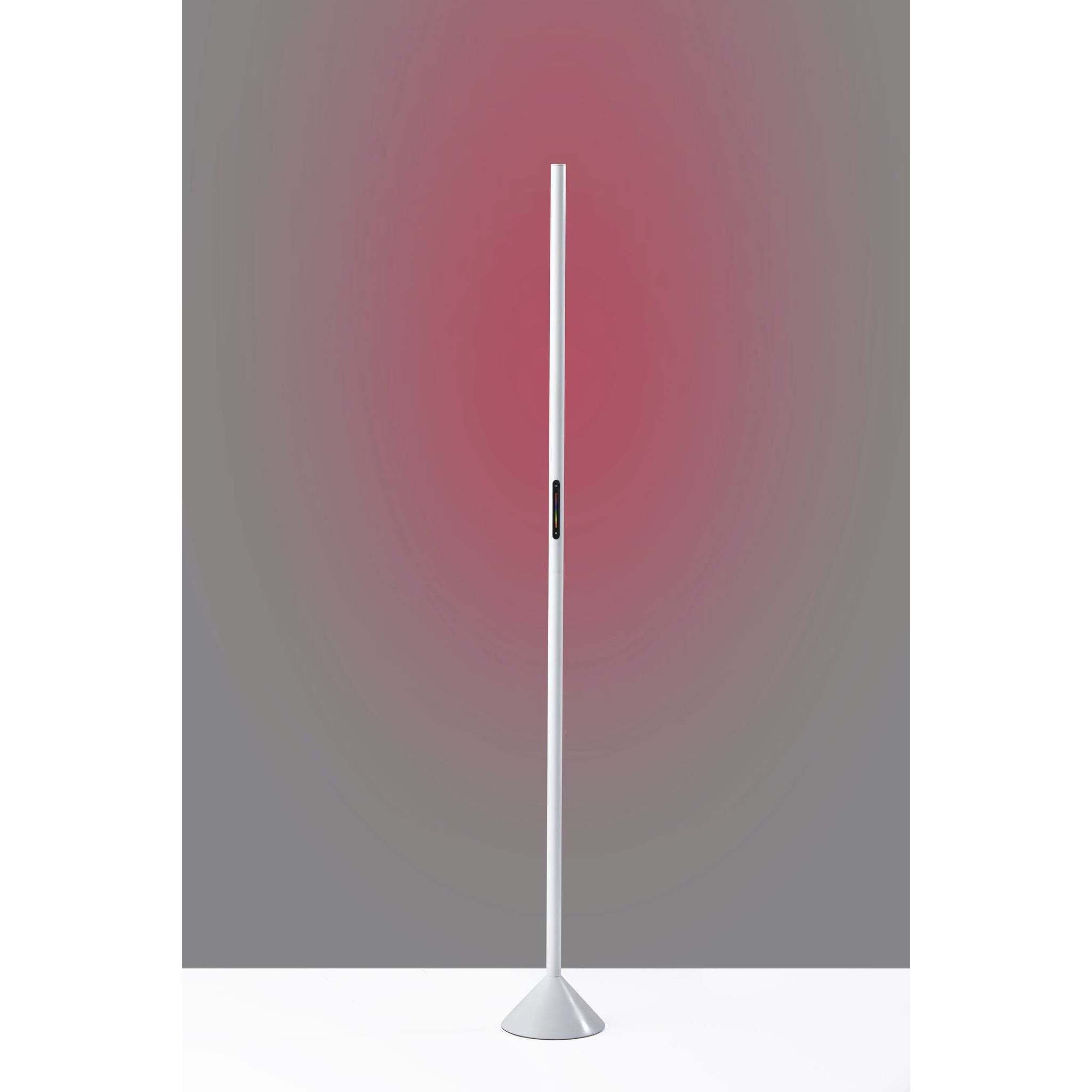 Cole 58 inch 12 watt Matte White Color Changing Wall Washer Floor Lamp Portable Light, Simplee Adesso