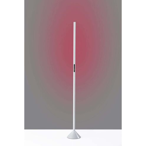 Cole 58 inch 12 watt Matte White Color Changing Wall Washer Floor Lamp Portable Light, Simplee Adesso
