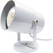 Heartland White 75 watt 1 Light Plant Lamp