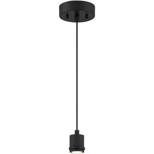 Port Nine 1 Light 2.25 inch Pendant