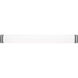 Palmer LED 48 inch Black Vanity Light Wall Light