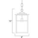 Coldwater 1 Light 9 inch Black Outdoor Hanging Lantern in White