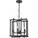 Avante Grand 4 Light 14 inch Flat Black and Satin Brass Cage Foyer Light Ceiling Light