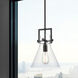 Newton Cone 1 Light 10 inch Matte Black Pendant Ceiling Light in Clear Glass
