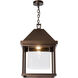 Dorset 1 Light 14.6 inch Coastal Bronze Outdoor Hanging Lantern in Seeded Clear