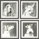 Animals Collection Neutral Framed Art