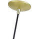 Domma 1 Light 10 inch Soft Gold with Polished Brass Accents Pendant Ceiling Light