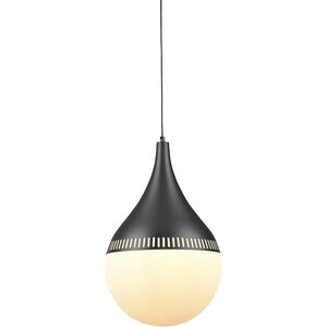 Canada 12 inch Black Pendant Ceiling Light