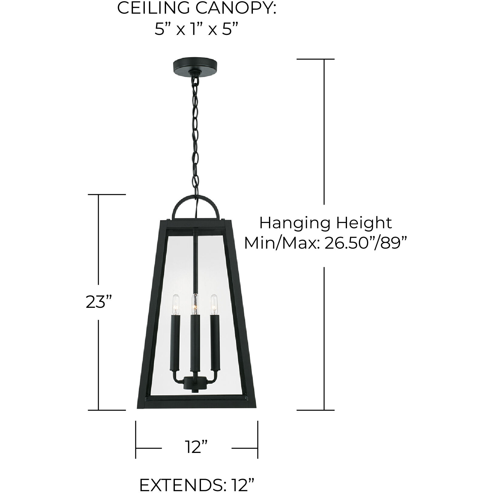 Leighton 4 Light 12 inch Black Outdoor Hanging Lantern