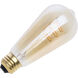 Lumos LED ST19 E26 8 watt 120 2000K LED, LED Filament